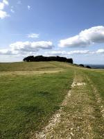 The South Downs National Park - Chanctonbury Ring