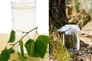 Health Elixir | Birch Water