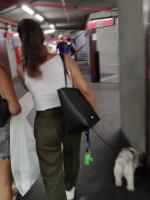 Girl carrying dog with nice ass in green trousers