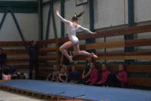 Gymnastic competition 2