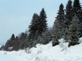 Горная гонка"Зимові вершини 2013"