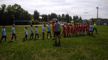 Об участии в областном зональном этапе соревнований по футболу учащихся Рязанской области на призы клуба «Кожаный мяч»