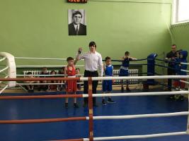 Обучающиеся «ДЮСШ «Рекорд» стали победителями областного турнира