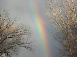 Today's Rainbow