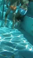 underwater in pool