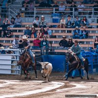 2021-09-11_Rodeo_12