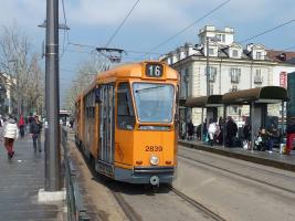 Turin trams