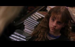Hermione from Harry Potter 2
