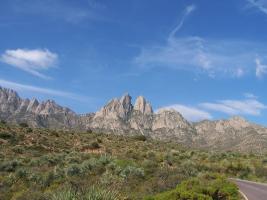 New Mexico - Pine Tree Trail