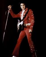 Elvis the King of Rock n Roll