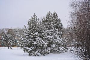 Комсомольск зимний (27 фото от 30.12.2017 г.)