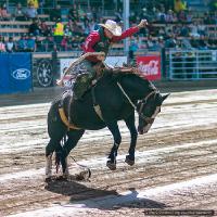 2021-09-11_Rodeo_5