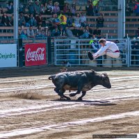 2021-09-11_Rodeo_10