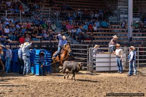 2018-09-12_Rodeo1