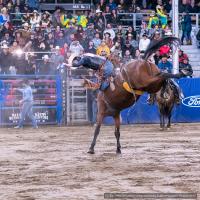 2022-09-14_Rodeo_3