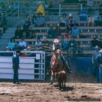 2021-09-11_Rodeo_4