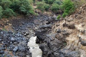 Эфиопия: Водопады Голубого Нила - Озеро Тана