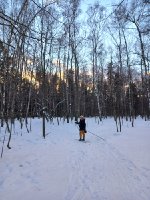 Ольгино, лыжная прогулка, февраль 2023.